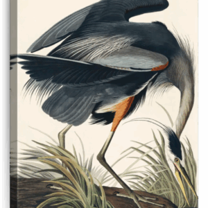 Hunting Great Blue Heron Wall Art