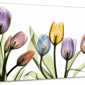 Tulipscape Portrait Wall Art