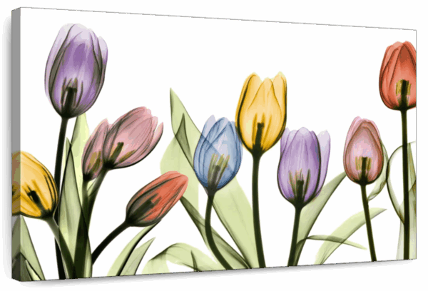 Tulipscape Portrait Wall Art
