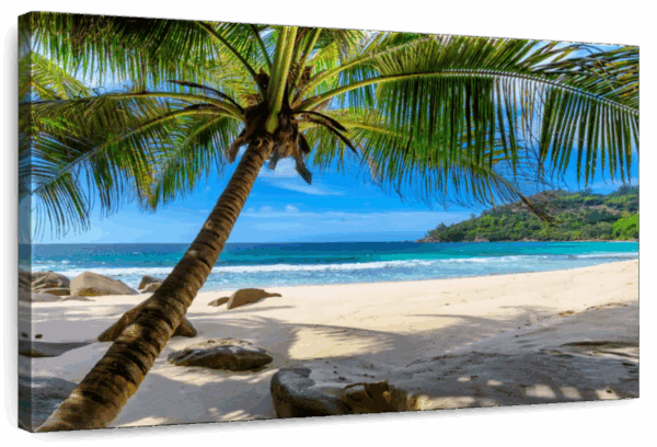 Palm Tree On A Sandy Beach Wall Art